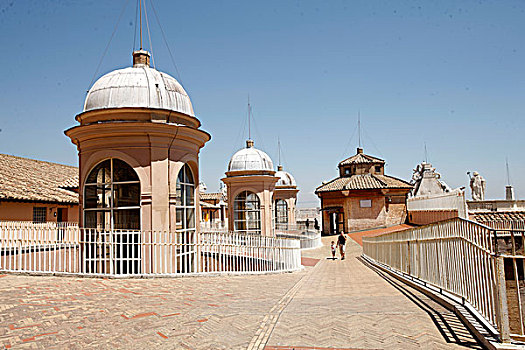 cau bach thu la