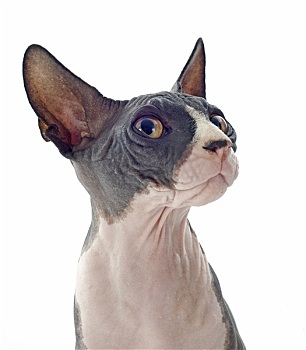 xổ số 90 ngày