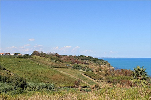cách đánh lo