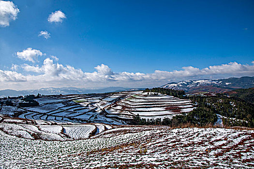 cau lo bach thu khung 3 ngay